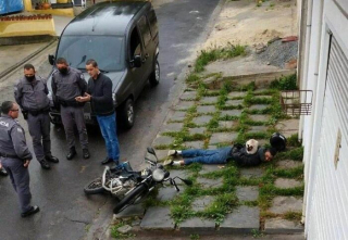 Illustration de l'article : 19 animaux qui ont décidé de vivre sans s'inquiéter des règles