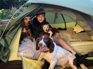 Illustration de l'article : Ce garçon de 12 ans campe chaque nuit afin de récolter des fonds pour les chiens errants (vidéo)