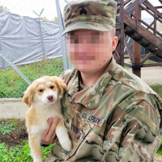 Illustration de l'article : Des militaires nouent une amitié avec des chiots lors d’une mission et demandent de l’aide pour les rapatrier