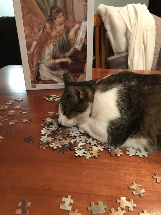 Illustration de l'article : 14 photos d'animaux où on ne peut se retenir de rire face à leur bêtise