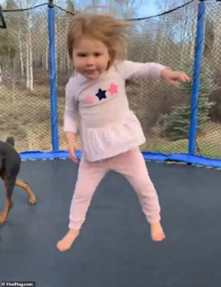 Illustration de l'article : La vidéo hilarante d'un chien et d'une fillette réalisant ensemble des acrobaties sur un trampoline !