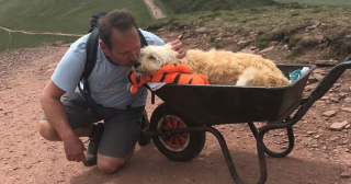 Illustration de l'article : Le propriétaire d’un chien en fin de vie l’emmène faire une dernière expédition au sommet d’une montagne