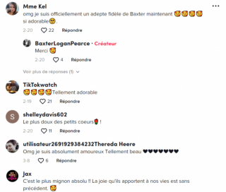 Illustration de l'article : Un chien attendrissant rend visite à sa grand-mère et emporte avec lui son jouet favori ! (vidéo)