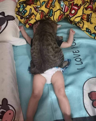 Illustration de l'article : 20 photos d'animaux qu'il était impossible de prendre avec un meilleur timing