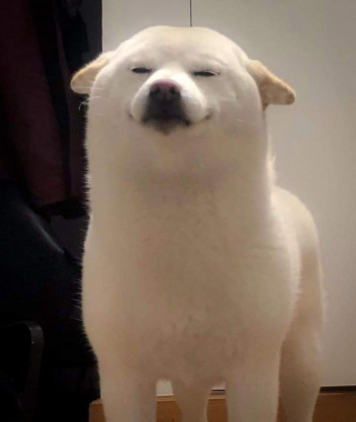 Illustration de l'article : 20 photos d'animaux qu'il était impossible de prendre avec un meilleur timing