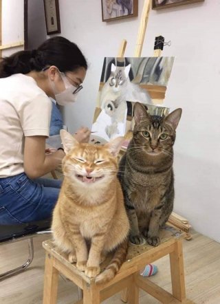 Illustration de l'article : 20 photos d'animaux qu'il était impossible de prendre avec un meilleur timing