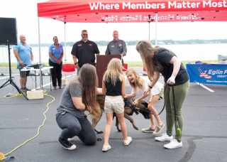 Illustration de l'article : Blessée à la patte, une chienne de guerre prend sa retraite bien méritée (vidéo)