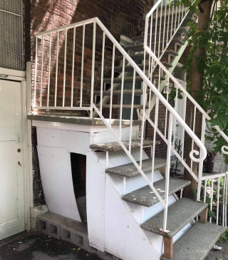 Illustration de l'article : Un chat découvre le confort d’une maison après avoir affronté les hivers canadiens