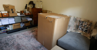 Illustration de l'article : Vid&eacute;o : Une femme entre dans un carton lors d'une partie de cache-cache avec son chien, et parvient enfin &agrave; le surprendre !