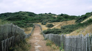 Illustration de l'article : Une commune se mobilise pour aider une famille en vacances dont le chat a disparu