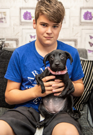 Illustration de l'article : Un adolescent victime de moqueries lutte contre sa maladie grâce à sa chienne à 6 pattes