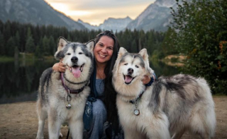 Illustration de l'article : Ce Husky aveugle peut s'adonner à ses activités préférées en toute confiance grâce à son ami Malamute