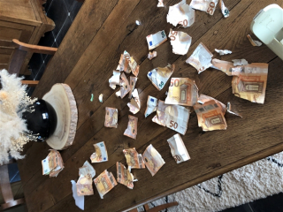 Illustration de l'article : Un chiot d&eacute;chire plus de 1000 euros de billets pendant l&rsquo;absence de son ma&icirc;tre