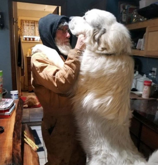 Illustration de l'article : 14 superbes photos d'amitiés naissantes entre des animaux et leurs nouveaux propriétaires