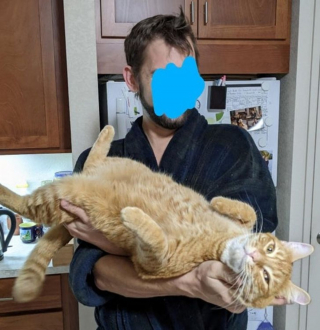 Illustration de l'article : 14 superbes photos d'amitiés naissantes entre des animaux et leurs nouveaux propriétaires