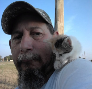 Illustration de l'article : Vidéo : Un chien trouve un chaton abandonné et le porte jusqu’à sa maison pour le mettre à l’abri