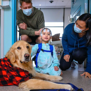 Illustration de l'article : 10 photos de chiens rendant visite aux enfants hospitalisés à Noël et qui font chaud au cœur