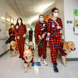 Illustration de l'article : 10 photos de chiens rendant visite aux enfants hospitalisés à Noël et qui font chaud au cœur