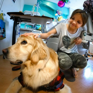 Illustration de l'article : 10 photos de chiens rendant visite aux enfants hospitalisés à Noël et qui font chaud au cœur