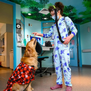 Illustration de l'article : 10 photos de chiens rendant visite aux enfants hospitalisés à Noël et qui font chaud au cœur