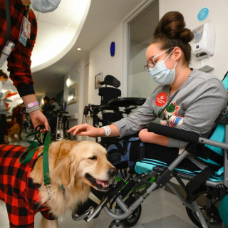 Illustration de l'article : 10 photos de chiens rendant visite aux enfants hospitalisés à Noël et qui font chaud au cœur