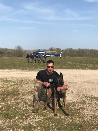 Illustration de l'article : Alors qu’il devait se faire euthanasier, ce chien maltraité est repéré pour ses aptitudes et devient un excellent chien de gendarme