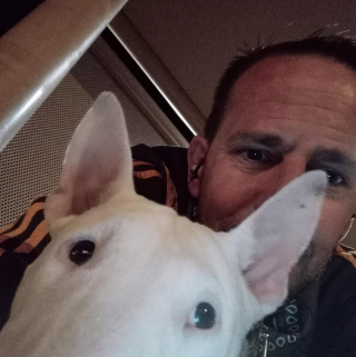 Illustration de l'article : Des malfaiteurs volent un chien d’assistance et vont jusqu’à le peindre pour qu'il ne soit pas reconnu