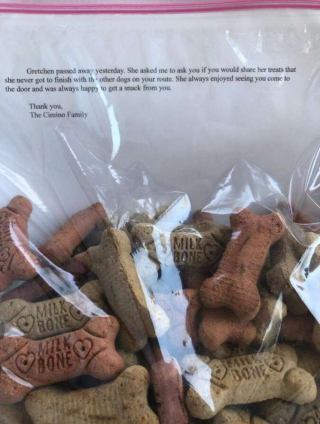 Illustration de l'article : Un facteur se lie d’amitié avec une chienne et réalise son dernier souhait après son décès