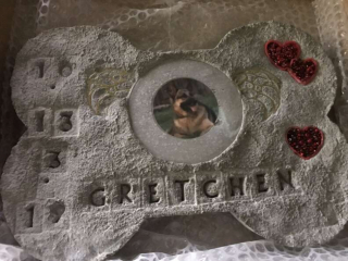 Illustration de l'article : Un facteur se lie d’amitié avec une chienne et réalise son dernier souhait après son décès