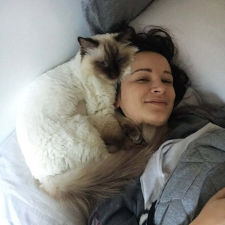 Illustration de l'article : 20 photos montrant que les chats savent aussi se montrer loyaux et affectueux