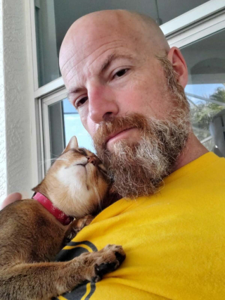 Illustration de l'article : 20 photos montrant que les chats savent aussi se montrer loyaux et affectueux