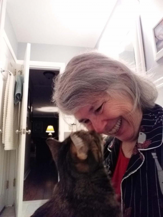 Illustration de l'article : 20 photos montrant que les chats savent aussi se montrer loyaux et affectueux