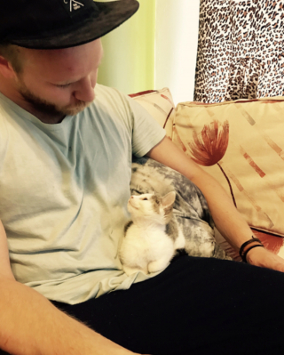 Illustration de l'article : 20 photos montrant que les chats savent aussi se montrer loyaux et affectueux