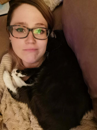 Illustration de l'article : 20 photos montrant que les chats savent aussi se montrer loyaux et affectueux