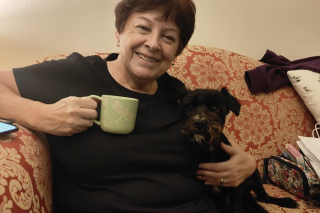 Illustration de l'article : Un promeneur sauve Bran, un chien terrier abandonné par des voleurs de voitures à 5 km du lieu du crime