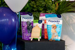 Illustration de l'article : Flexadin Mobility For Life, des compléments alimentaires savoureux pour prévenir les problèmes articulaires des chiens et des chats