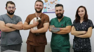 Illustration de l'article : Ce chat nait avec une tumeur hors du commun, qui semble contenir des restes d’un jumeau non développé