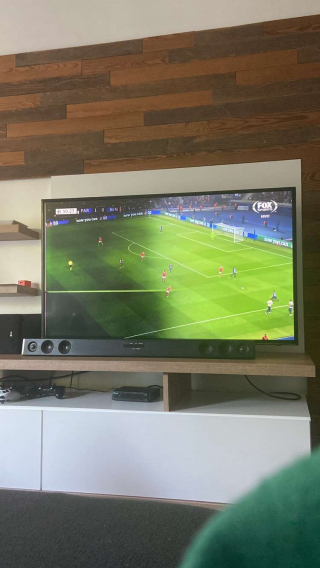 Illustration de l'article : Ce chat casse volontairement la télévision pour que ses maîtres s’intéressent à lui plutôt qu’au foot ! (vidéo)