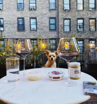 Illustration de l'article : 20 photos de chiens postés sur leurs balcons pour ne rien rater de ce qui se passe dans le quartier