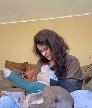 Illustration de l'article : 2 ans après sa disparition, une chienne est retrouvée blessée dans un fossé et peu enfin rejoindre sa famille