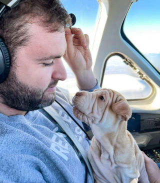 Illustration de l'article : 20 photos de chiens qui misent autant sur leurs rides que sur leur irrésistible bouille pour vous charmer