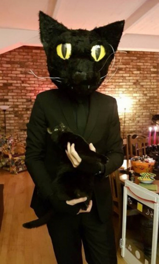 Illustration de l'article : 19 photos hilarantes de chats affichant une attitude théâtrale en toute circonstance