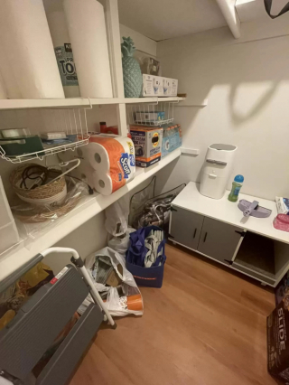 Illustration de l'article : Un chat trouve la cachette parfaite pour se reposer, faisant paniquer sa maîtresse qui le cherche partout