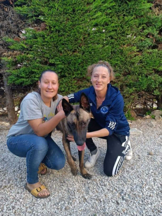 Illustration de l'article : Le combat inspirant de Bayley, un chien errant aveugle et affamé pour trouver l'amour d'une famille