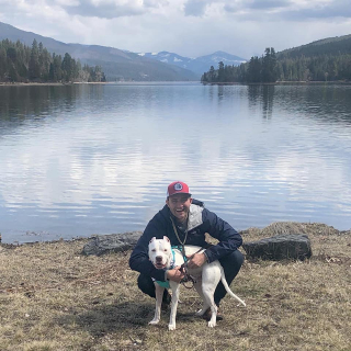 Illustration de l'article : Hitch, un chien courageux qui surmonte les obstacles après une grave chute pour marcher à nouveau