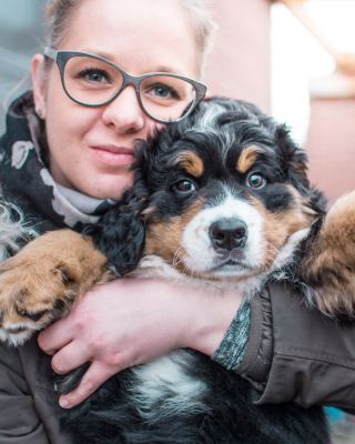 Illustration de l'article : 20 superbes photos qui suivent la croissance spectaculaire d'un chiot Bouvier Bernois