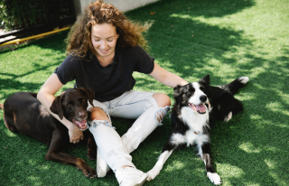 Illustration de l'article : Une étude révèle si les chiens peuvent ressentir de la jalousie lorsque leur propriétaire en caresse un autre