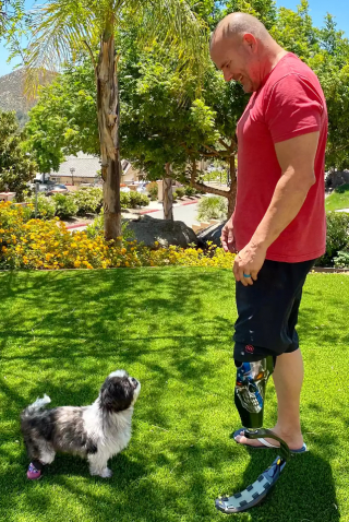 Illustration de l'article : La négligence d’un maître a entraîné l’amputation des pattes arrière de Chloe, qui réapprend à vivre avec des prothèses