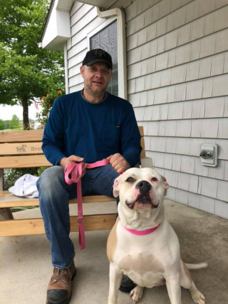 Illustration de l'article : Une famille tombe sur la photo d’une chienne abandonnée sur la route et pense reconnaître Savey, disparue il y a un an