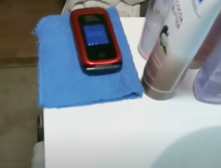 Illustration de l'article : Un chat sauve la vie de son propriétaire de 84 ans, coincé au sol pendant 16 heures après une chute